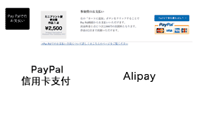 make payment by Paypal